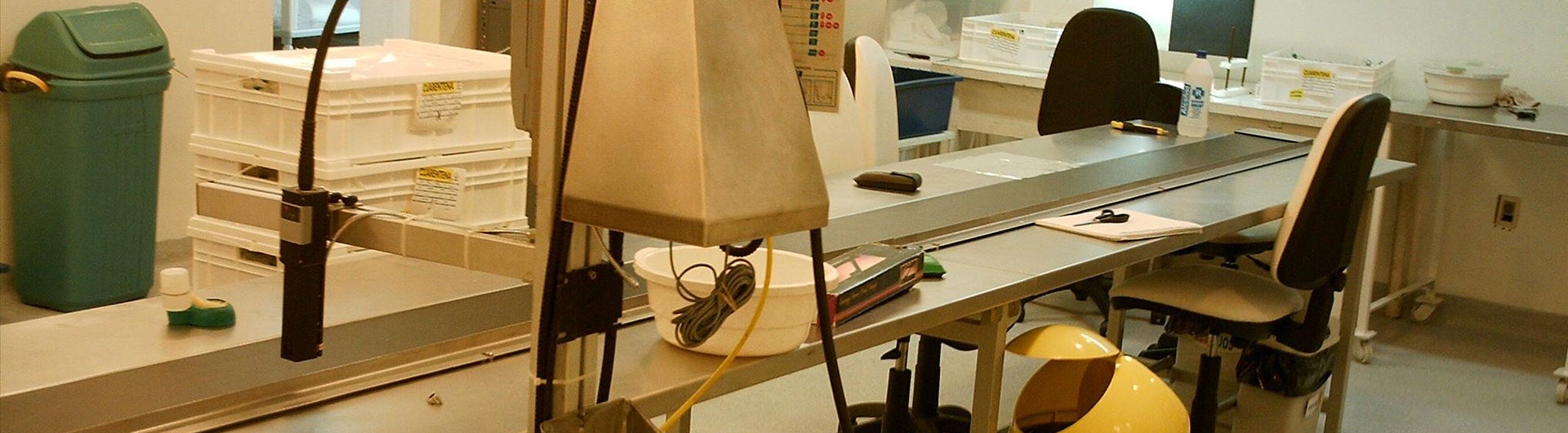 cinta transportadora